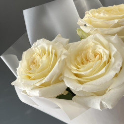 3 кремовых роз